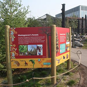 Land of Lemurs (New in 2017 and costing $8 million) - Forest Signs