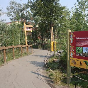 Land of Lemurs (New in 2017 and costing $8 million) - Entrance Pathway