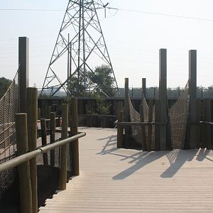 Land of Lemurs (New in 2017 and costing $8 million) - Visitor Boardwalk + Bridges