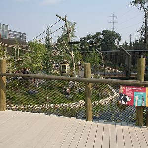 Land of Lemurs (New in 2017 and costing $8 million) - Walk-Through Exhibit