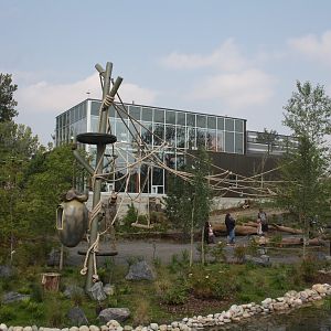 Land of Lemurs (New in 2017 and costing $8 million) - Walk-Through Exhibit