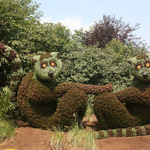 Ring-Tailed Lemur Topiary - Awesome!