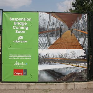 Suspension Bridge (New in 2018)