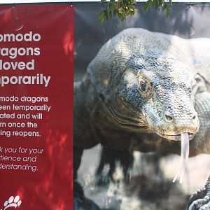 Komodo Dragon Sign (animals are returning in 2018)