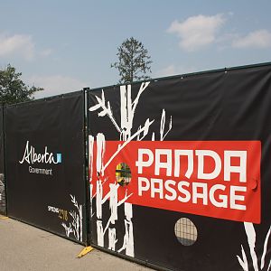 Panda Passage (New in 2018)