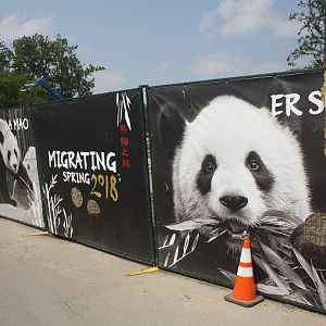 Panda Passage (New in 2018)