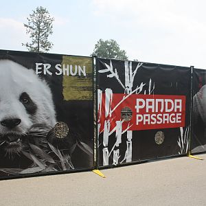 Panda Passage (New in 2018)