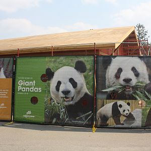 Panda Passage (New in 2018)