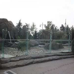 Penguin Plunge - Humboldt Penguin Exhibit