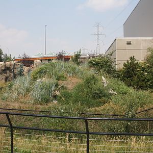 Penguin Plunge - Humboldt Penguin Exhibit