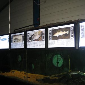 JyllandsAkvariet - Mixed tank