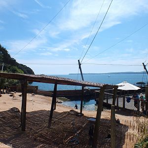 View Over Penguin Beach to Tor Bay Beyond