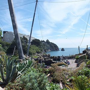View Across Sea Lion Enclosures to Tor Bay Beyond