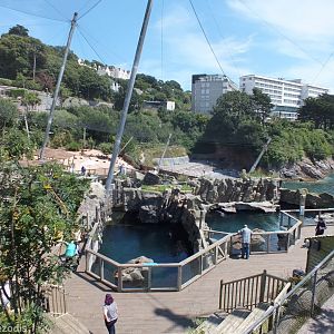 Sea Lion Enclosures (foreground) and Penguin Beach (background)