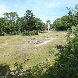 Outdoor Elephant Enclosure