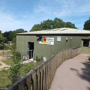 Elephant and Giraffe House