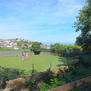View over Takin Enclosure to Sea Beyond