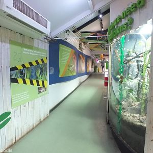 View in Amphibian House