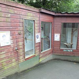 Douroucouli Enclosure