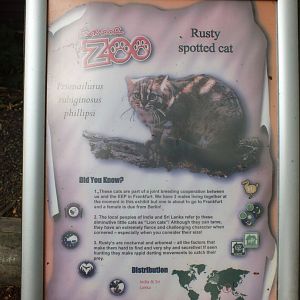 Rusty the Spotted Cat (as the sign was interpreted by other visitors)