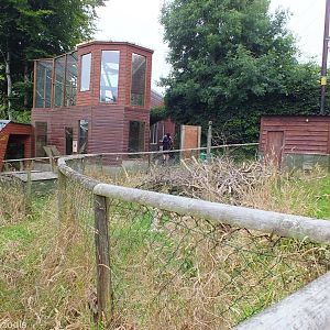 View Over Agouti Enclosure to Lemur Enclosure