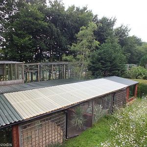 View from Raised Leopard Viewing over Small Bird Aviaries (foreground) and Gibbon and Vulture Enclosures (behind)