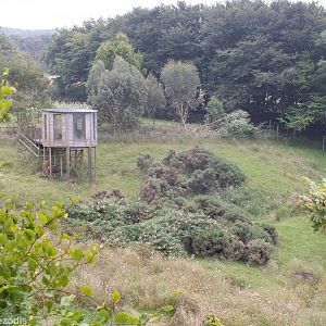 Excellent Sitatunga Enclosure
