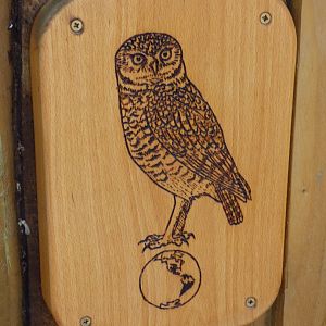 Distrobution signage in The Terry Prachett Owl Parliment