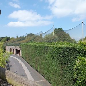 Europe on the Edge Aviary