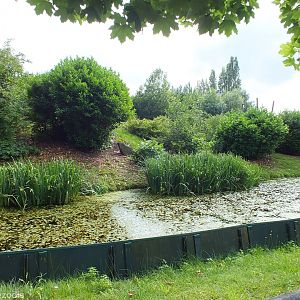 One of the Monkey Islands