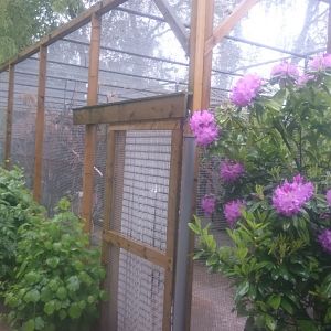 Entrance Walk-through-aviary