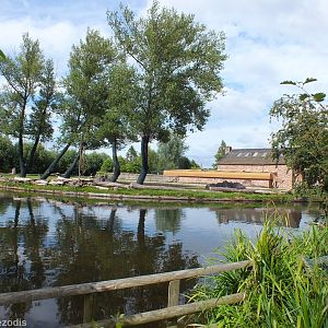 Giraffe Outdoor Enclosure