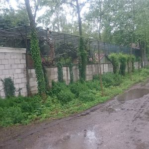 Zoo from the out-side