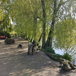 Path around Big Pond