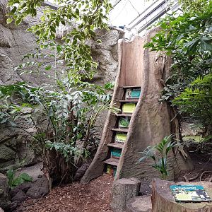 Viewing-point In Philippine Hall