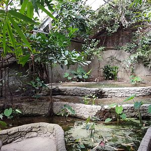 Rice-fields Philippine Hall