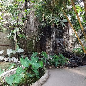 Waterfall Philippine Hall