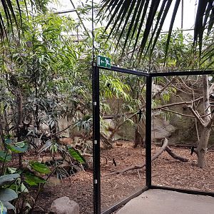 Hornbill-aviary Philippine Hall