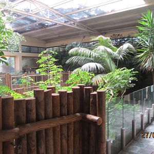 Reptile House - American Alligator Exhibit