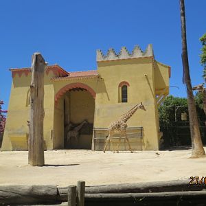 Angolan Giraffe House