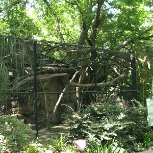 White Faced Saki/Two Toed Sloth Exhibit