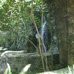 Jaguar Exhibit