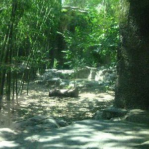 Sumatran Tiger Exhibit