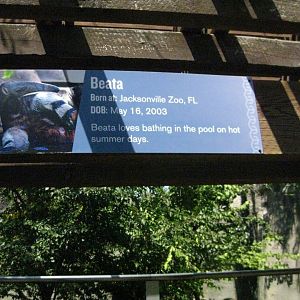 Giant Anteater Signage