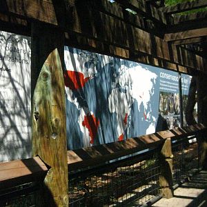 Former Spotted Hyena Exhibit