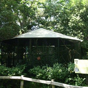 Red Billed Hornbill Exhibit