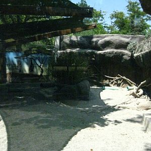 Aardvark/Fennec Fox Exhibit