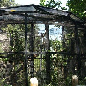 Newly Built Aviary