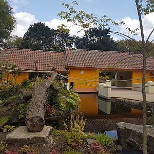 New South American Walk-through Area