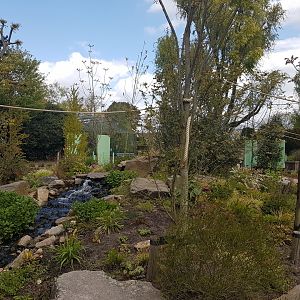 New South American Walk-through Area